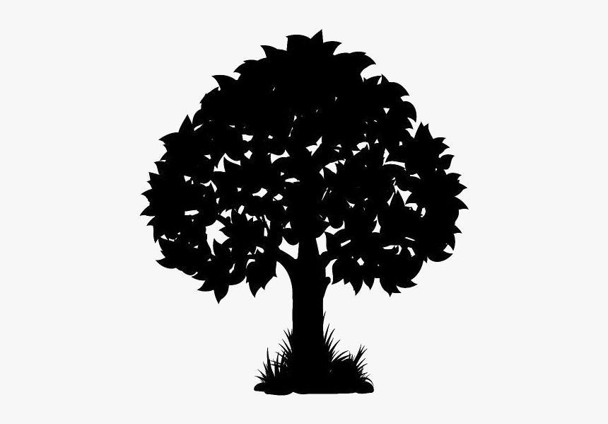 Detail Tree Clear Background Nomer 50