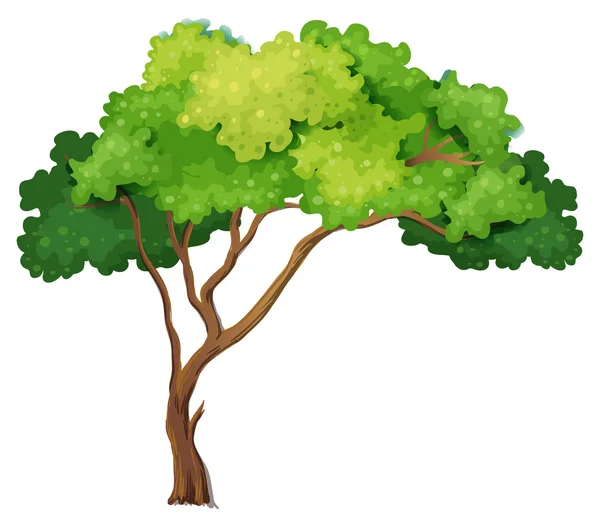 Detail Tree Clipart Nomer 10