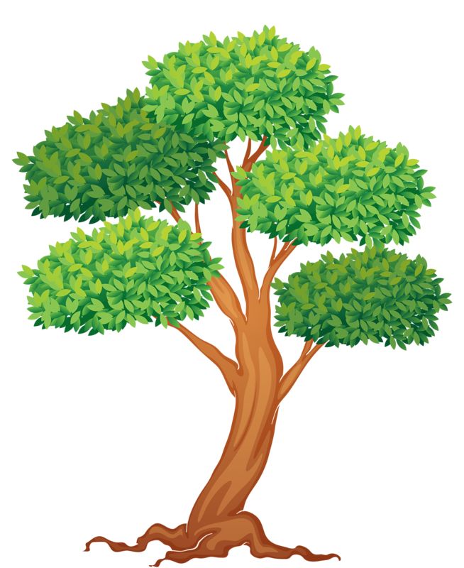 Detail Tree Clipart Nomer 27
