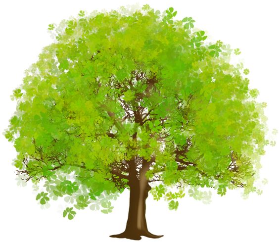 Detail Tree Clipart Nomer 34