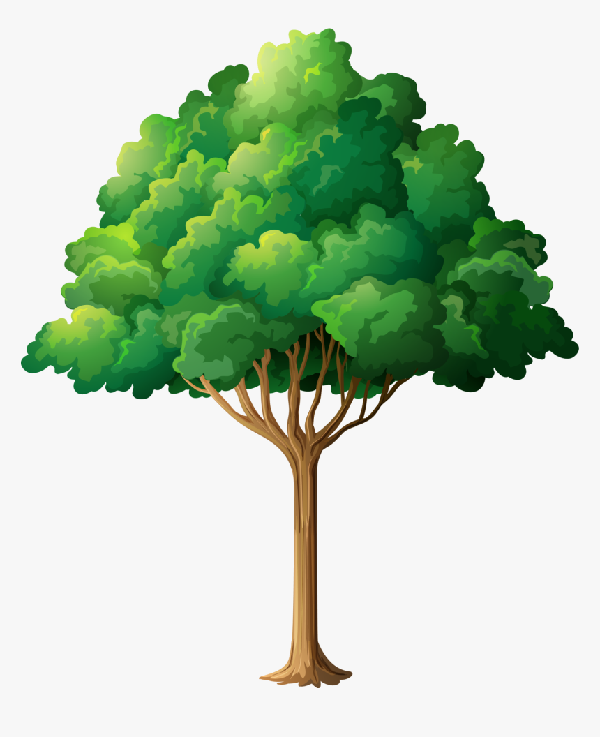 Detail Tree Clipart Png Nomer 11