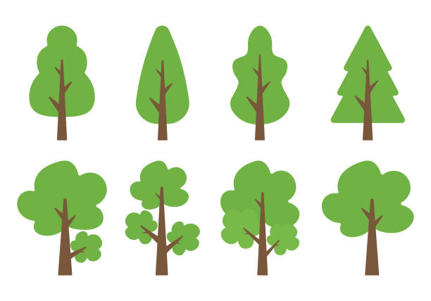 Detail Tree Clipart Png Nomer 29