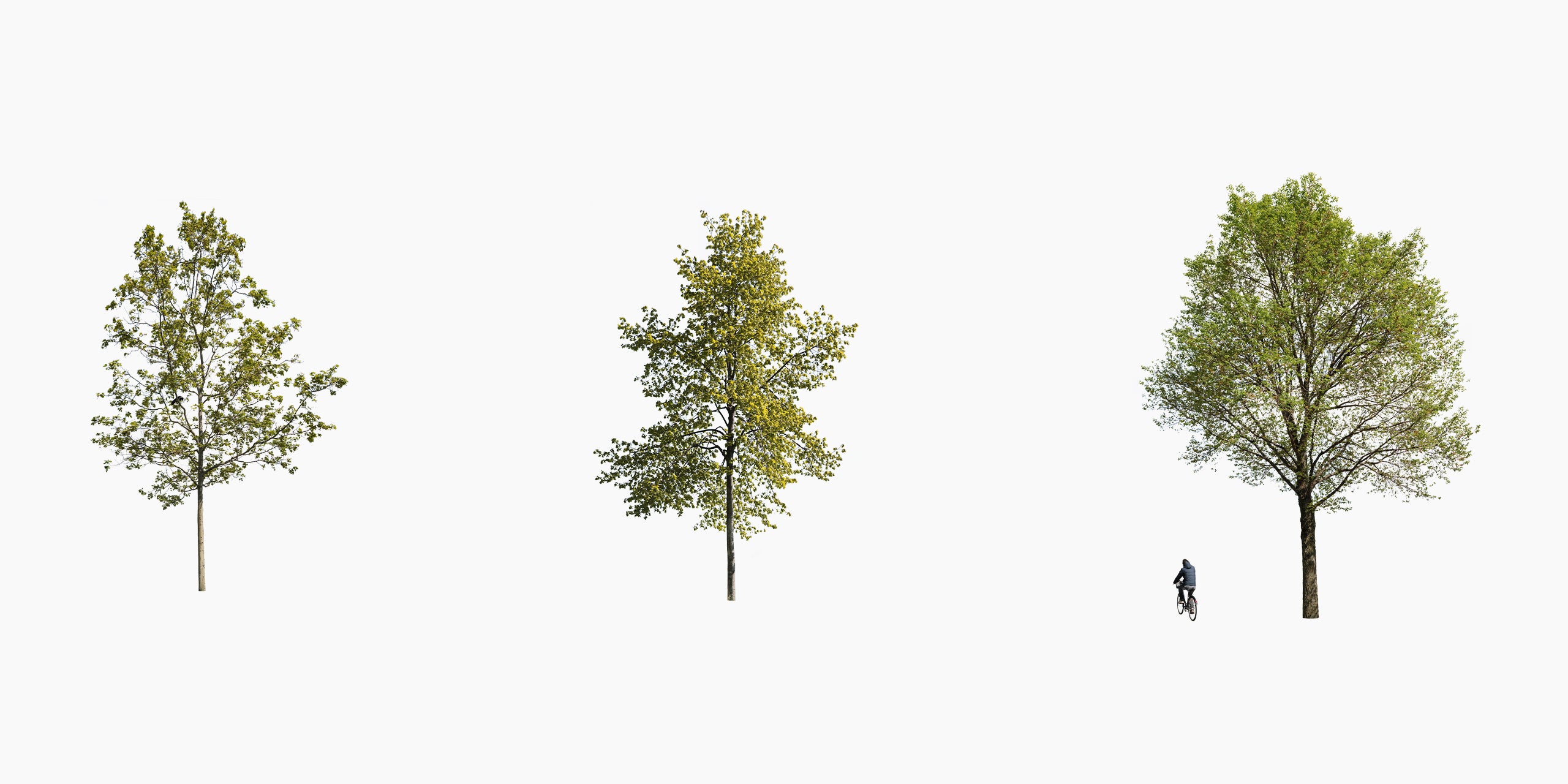 Detail Tree Cutout Nomer 22