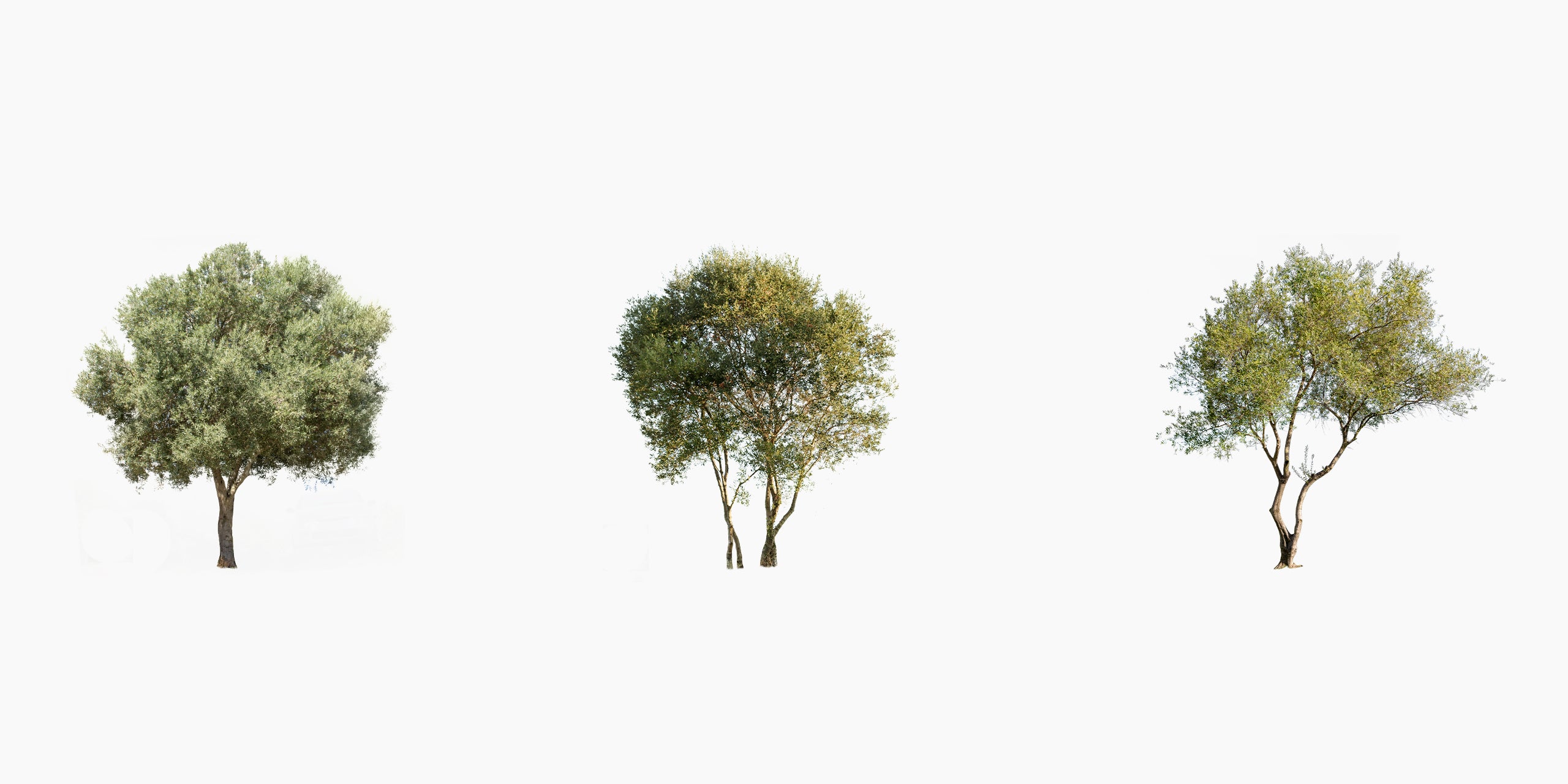 Detail Tree Cutout Nomer 9