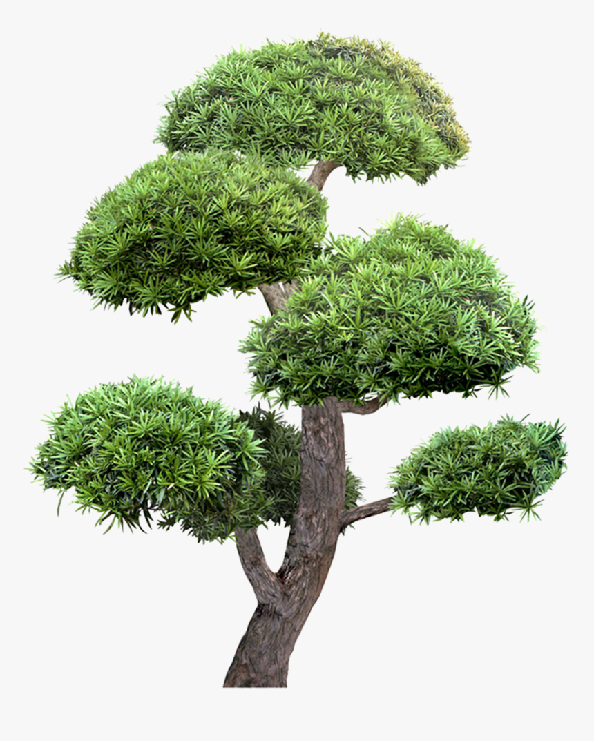 Detail Tree Download Nomer 34