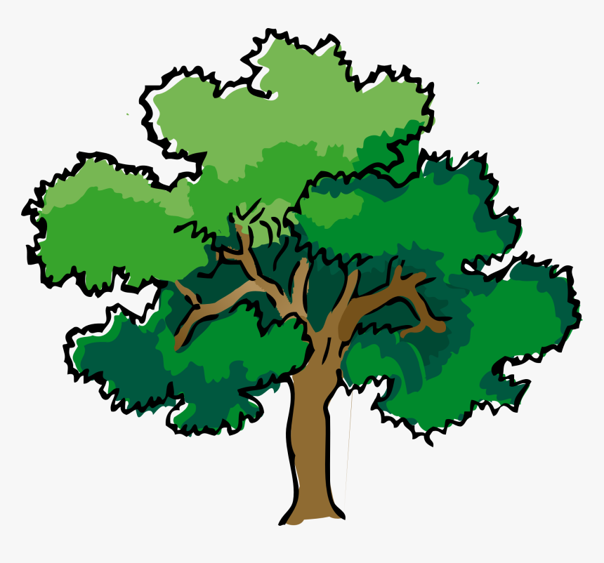 Detail Tree Drawing Png Nomer 9