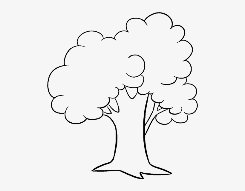 Detail Tree Drawing Png Nomer 19