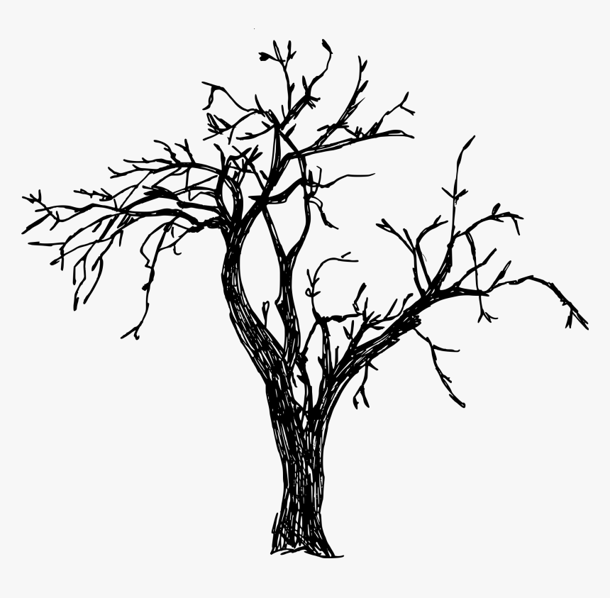 Detail Tree Drawing Png Nomer 20