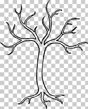 Detail Tree Drawing Png Nomer 22