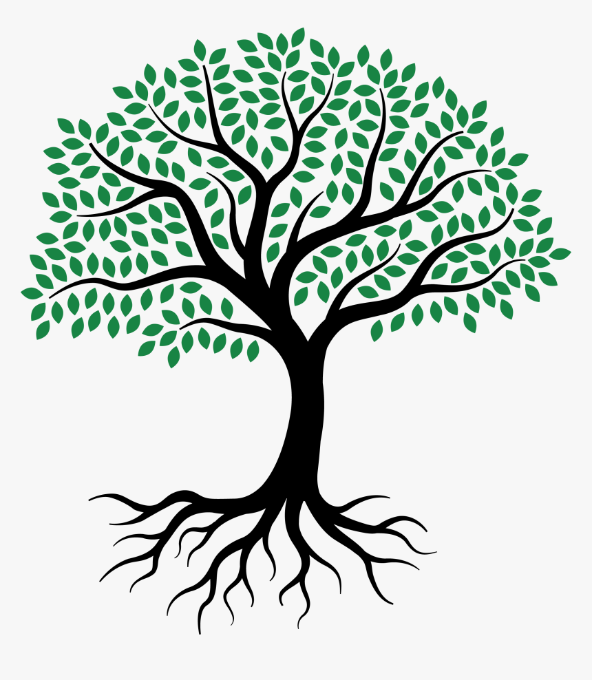 Detail Tree Drawing Png Nomer 33