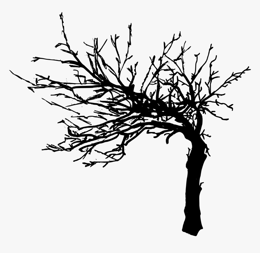 Detail Tree Drawing Png Nomer 36