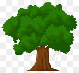 Detail Tree Drawing Png Nomer 38