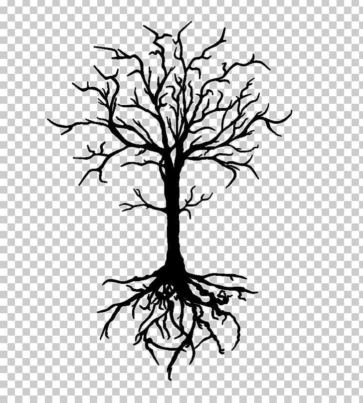 Detail Tree Drawing Png Nomer 40