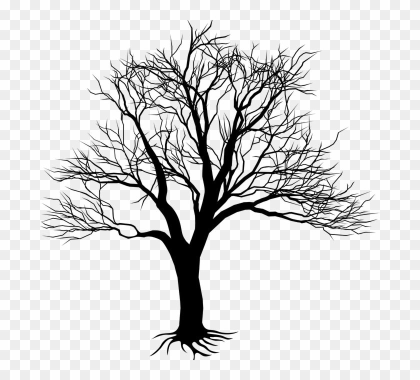 Detail Tree Drawing Png Nomer 41