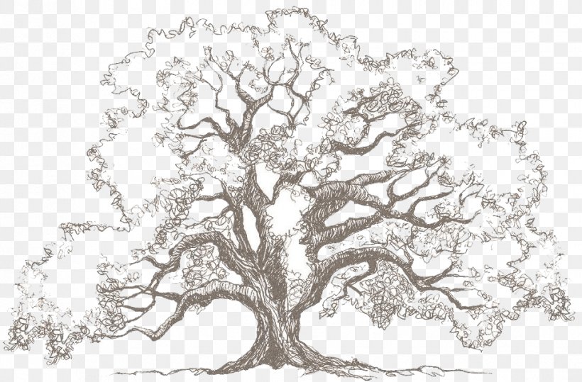 Detail Tree Drawing Png Nomer 45