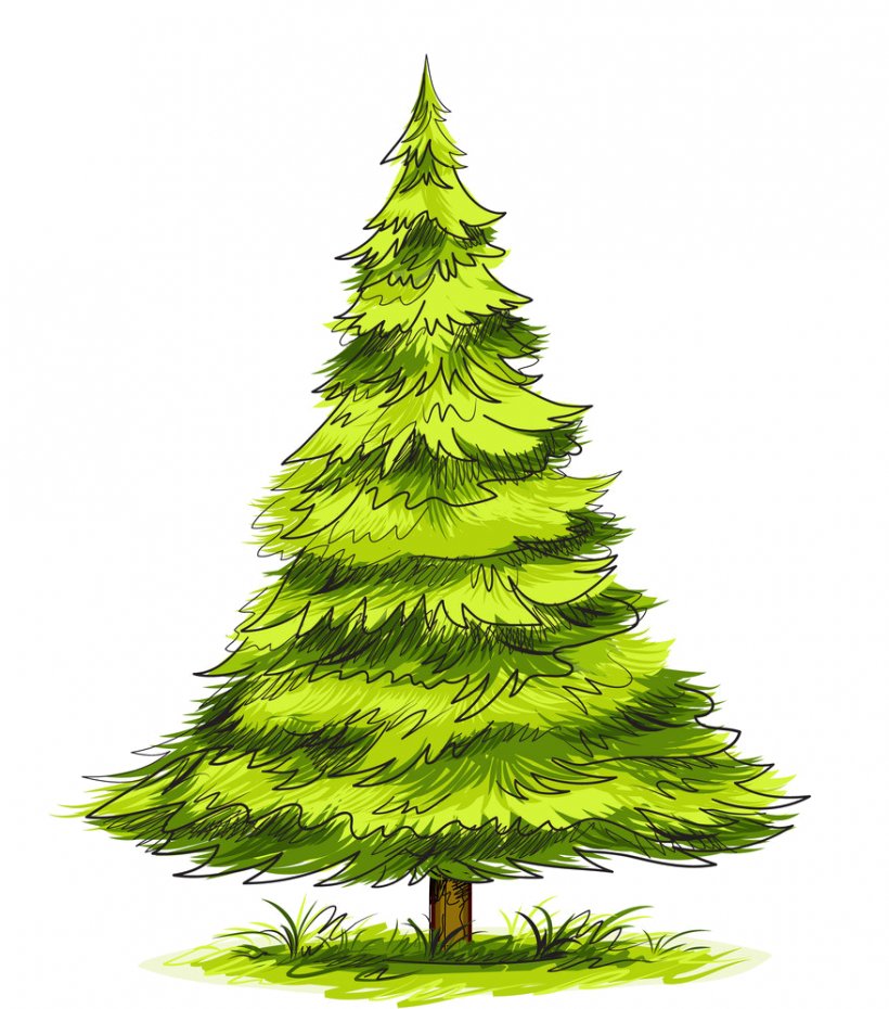 Detail Tree Drawing Png Nomer 54