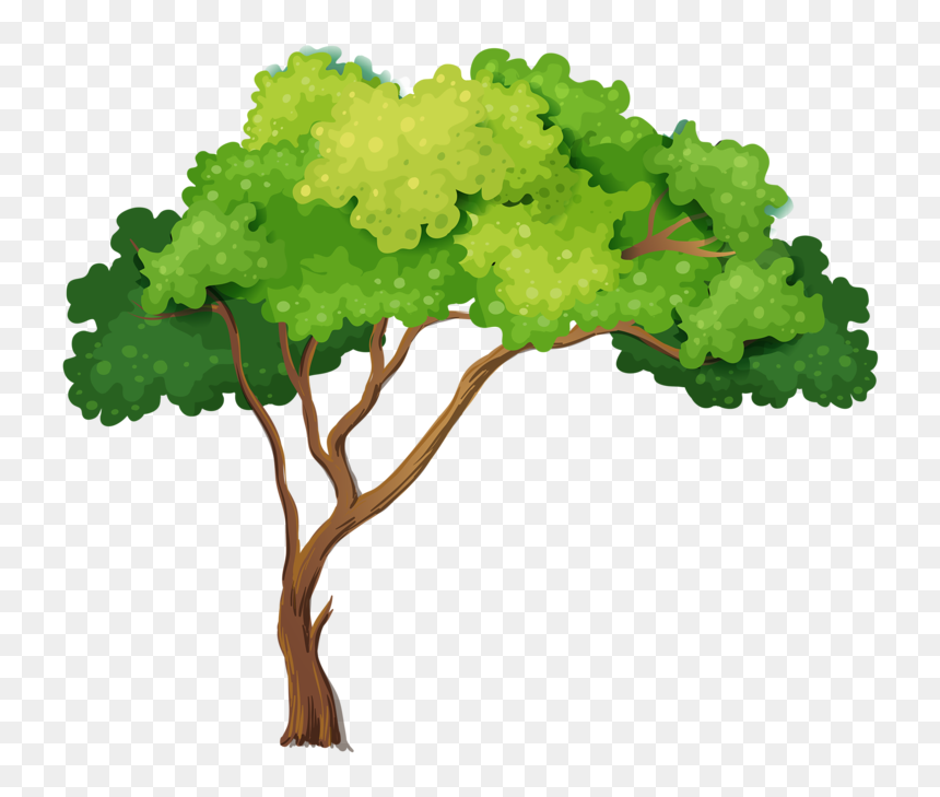 Detail Tree Drawing Png Nomer 7