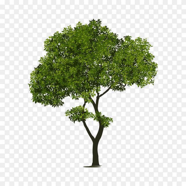 Detail Tree Flat Design Png Nomer 12