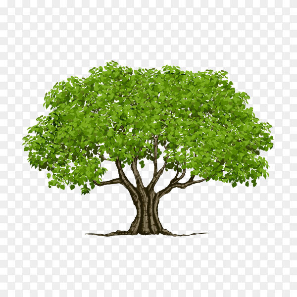 Detail Tree Flat Design Png Nomer 13