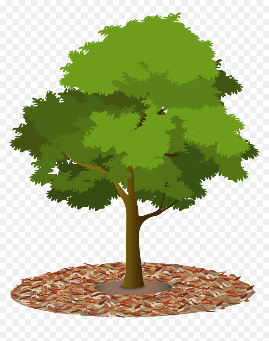 Detail Tree Flat Design Png Nomer 19