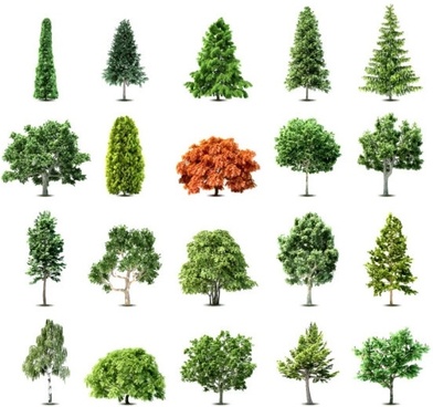 Detail Tree Free Download Nomer 12
