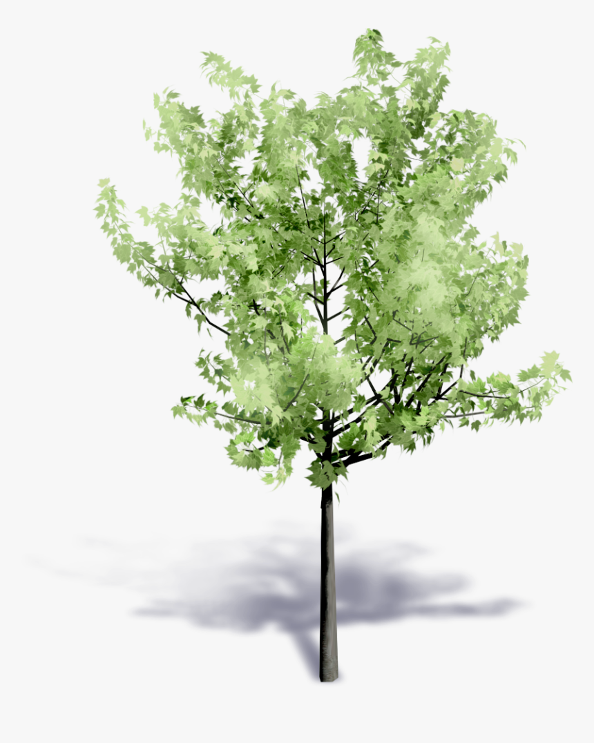 Detail Tree Free Download Nomer 20