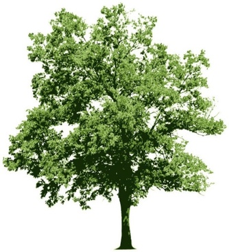 Detail Tree Free Download Nomer 32
