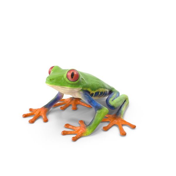 Detail Tree Frog Png Nomer 2