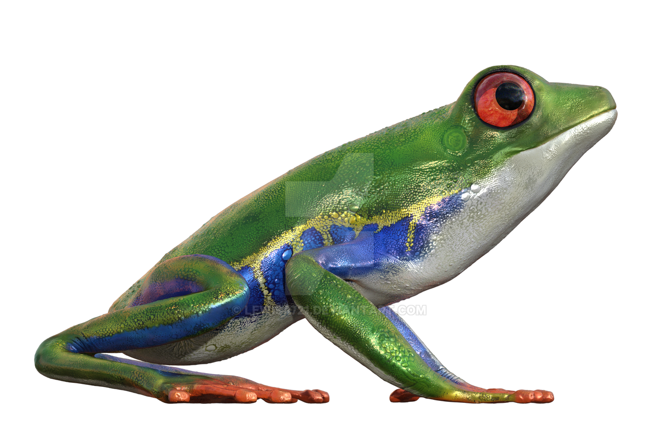 Detail Tree Frog Png Nomer 17