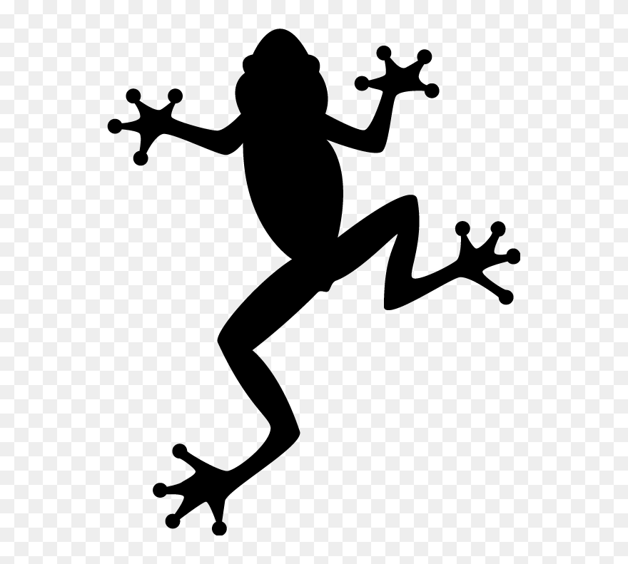 Detail Tree Frog Png Nomer 27