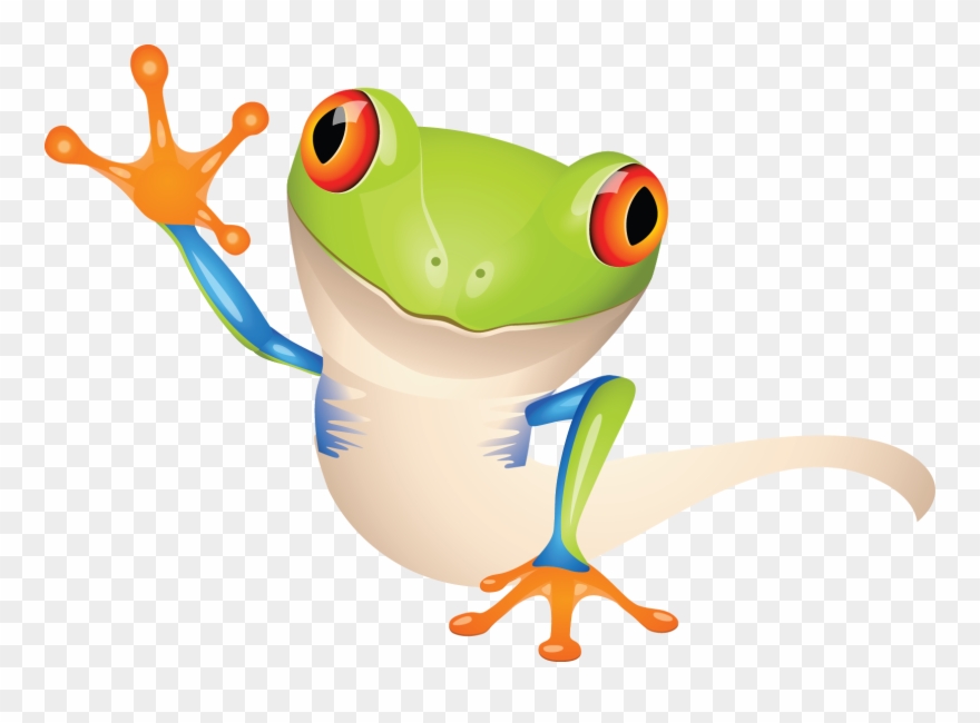 Detail Tree Frog Png Nomer 30