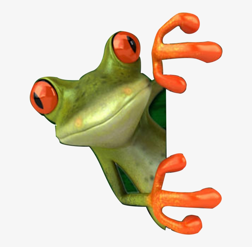 Detail Tree Frog Png Nomer 31