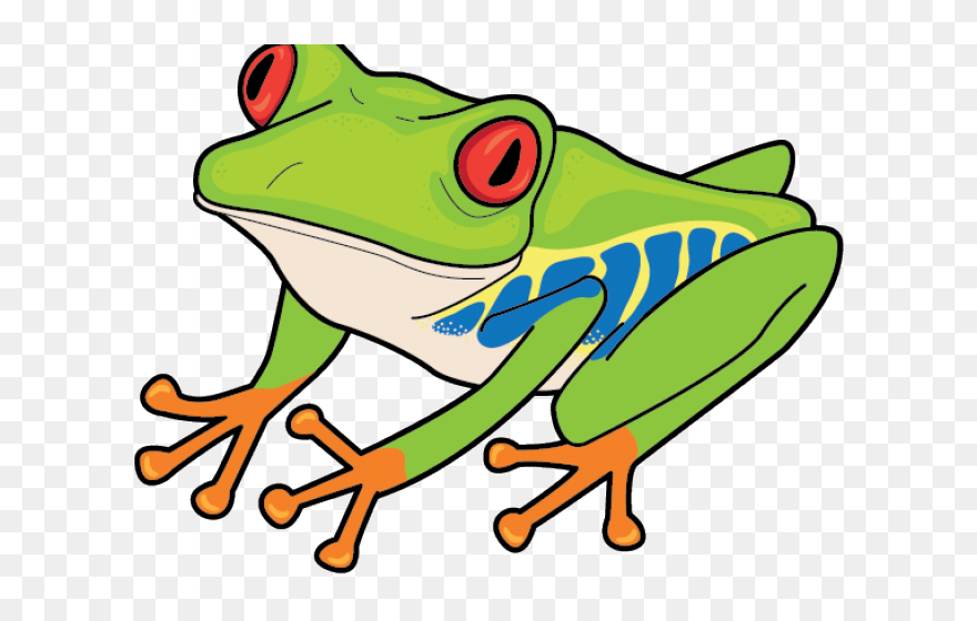 Detail Tree Frog Png Nomer 35