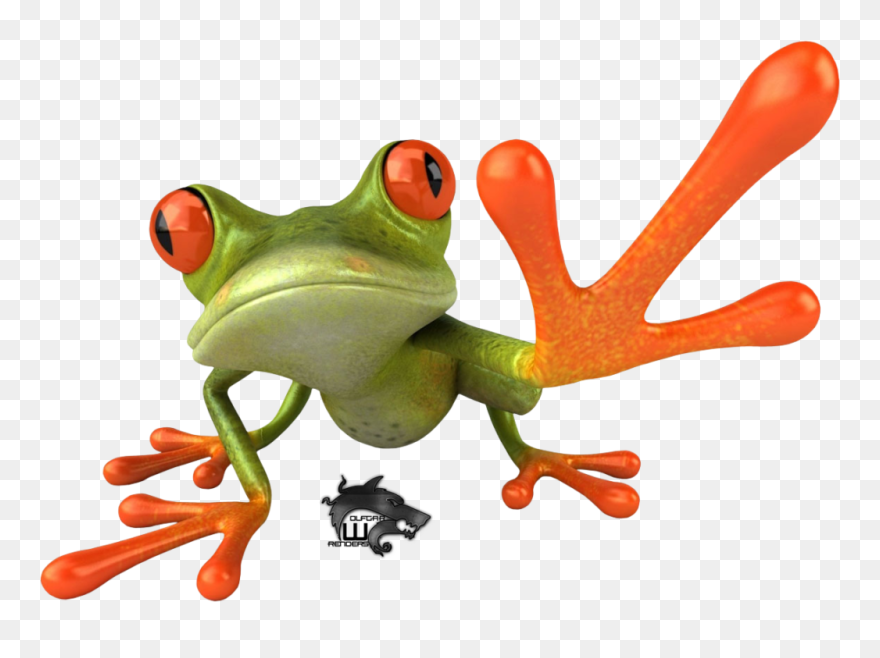 Detail Tree Frog Png Nomer 40