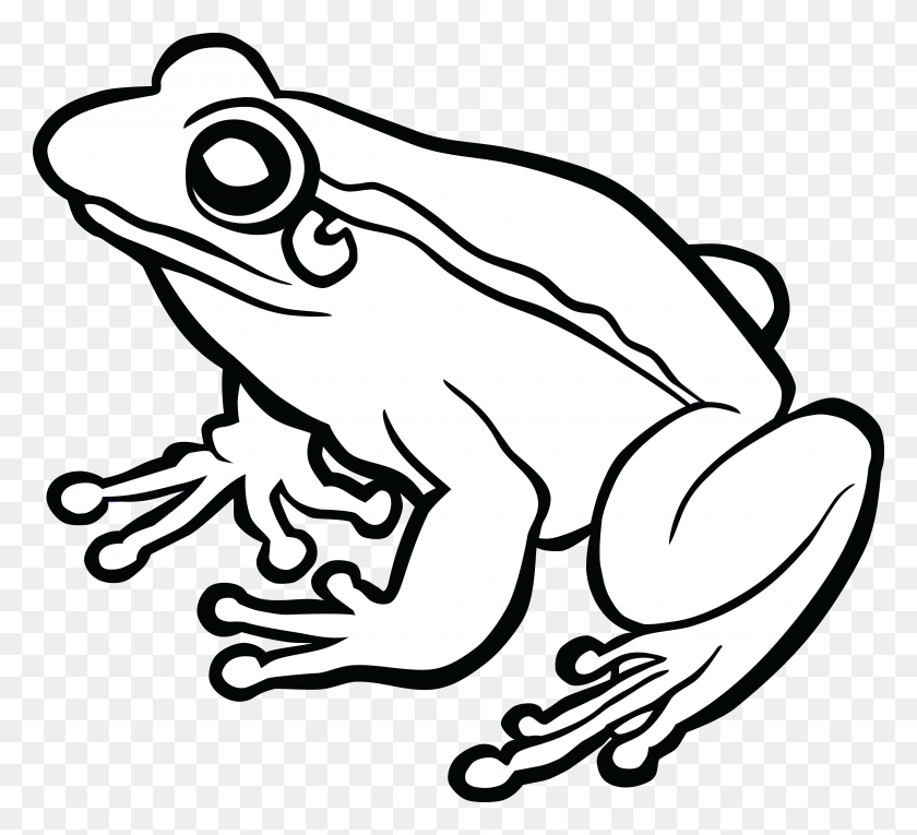 Detail Tree Frog Png Nomer 42