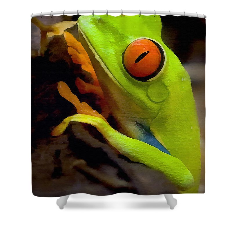 Detail Tree Frog Shower Curtains Nomer 17