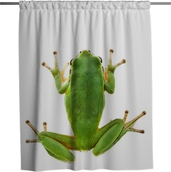 Detail Tree Frog Shower Curtains Nomer 23
