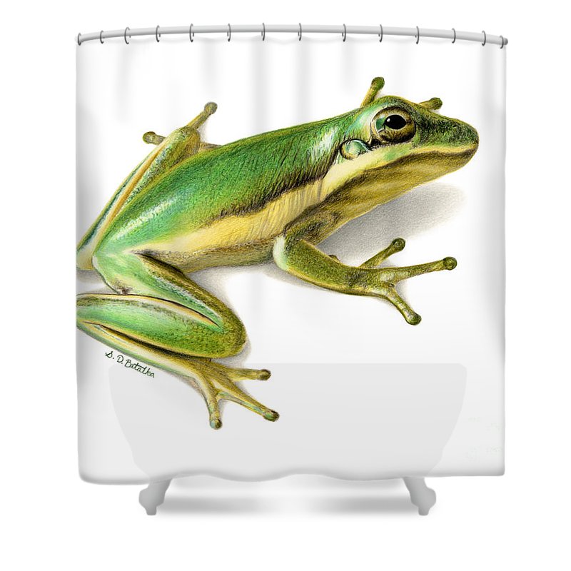 Detail Tree Frog Shower Curtains Nomer 26