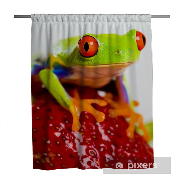 Detail Tree Frog Shower Curtains Nomer 34