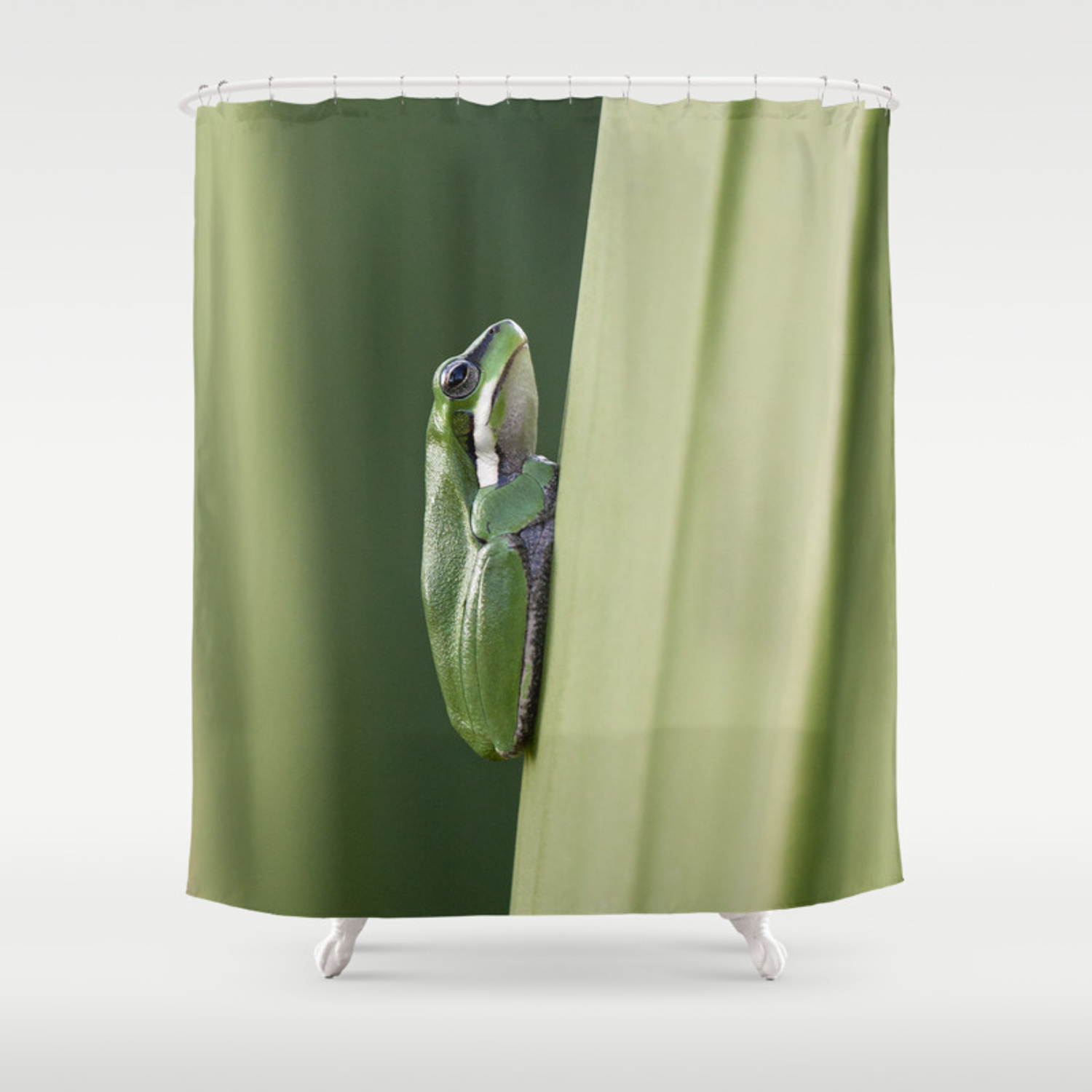 Detail Tree Frog Shower Curtains Nomer 35