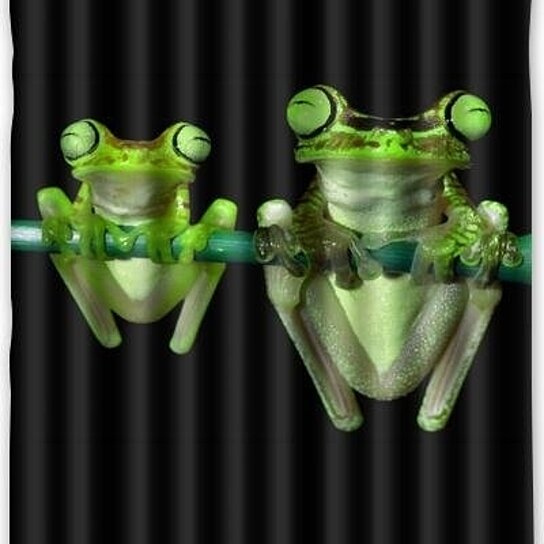 Detail Tree Frog Shower Curtains Nomer 45