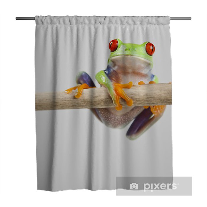 Detail Tree Frog Shower Curtains Nomer 58