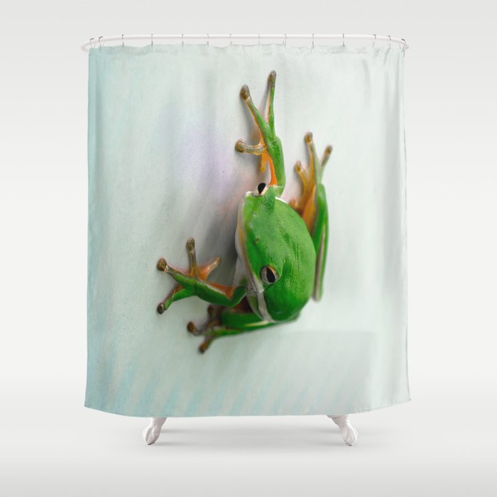 Detail Tree Frog Shower Curtains Nomer 7