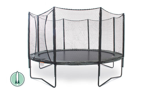 Detail Tree Frog Trampoline Nomer 19