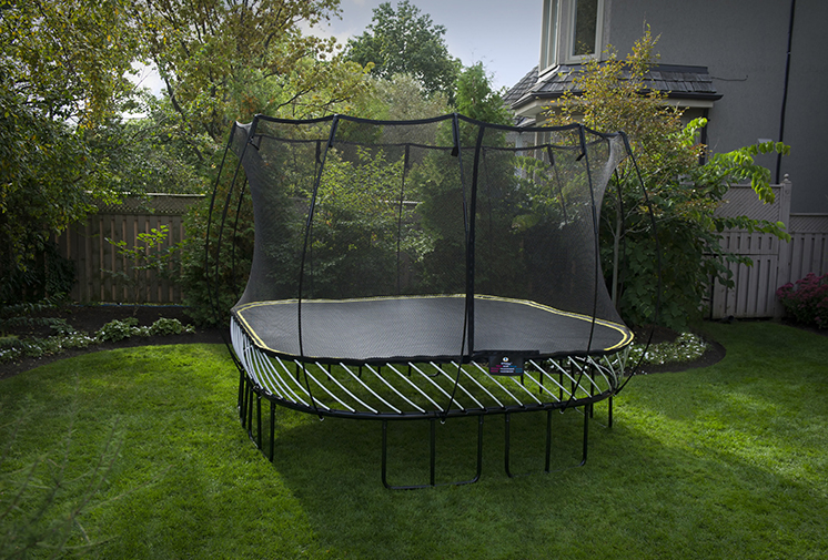 Detail Tree Frog Trampoline Nomer 10