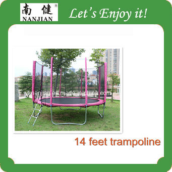 Detail Tree Frog Trampoline Nomer 33