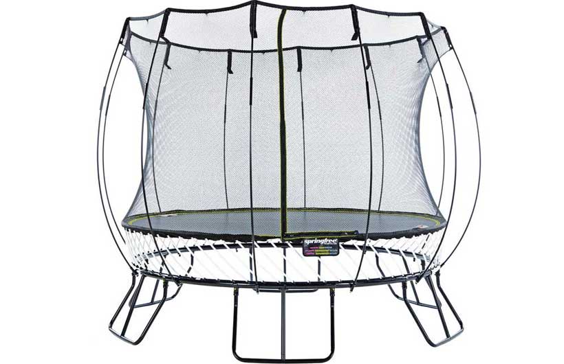 Detail Tree Frog Trampoline Nomer 48