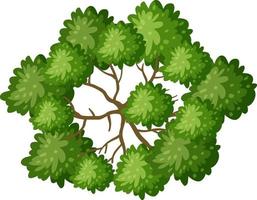 Detail Tree From Top Nomer 37