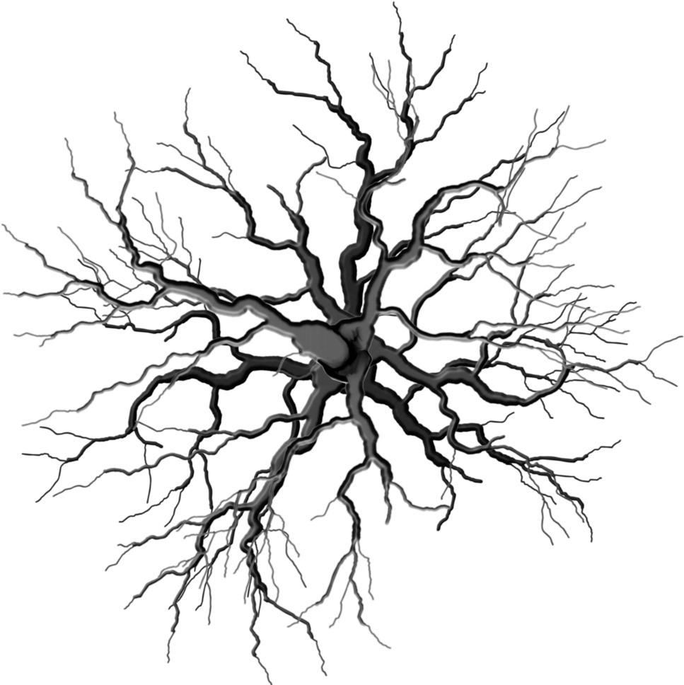 Detail Tree From Top Nomer 49