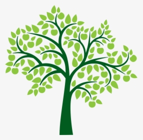 Detail Tree Hd Png Nomer 29